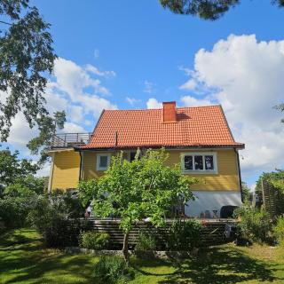 Cozy house on a hill in the heart of nature but close to the city - 0