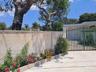 Giardino Soely - 4