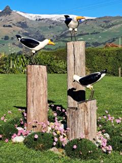 Christchurch - Port Levy, Bed & Breakfast - 6
