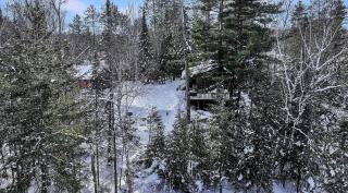 Pine Forest Hideaway - 6