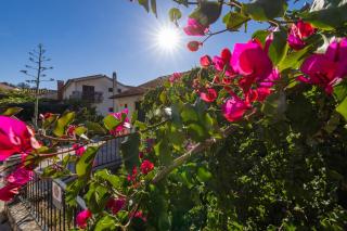 Apartments by the sea Jelsa - Hvar - 25835 - 3