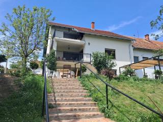 Holiday house with a parking space Lipik, Slavonija - 26002 - 9