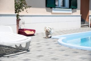 Family-friendly apartments with swimming pool Okrug Donji, Ciovo - 25498 - 1