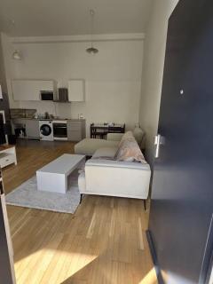 3 bright rooms, 2 bathrooms, 10 minutes from Paris - 9