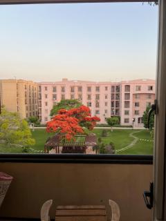 Cozy rehab city apartment wifi, ac, parking - 3