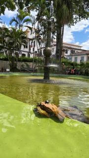 2-Bedroom, 2-Bathroom Flat in an Upscale Neighborhood - 3