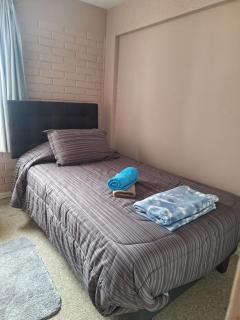 Lindo y amplio departamento completo, muy acogedor - 5
