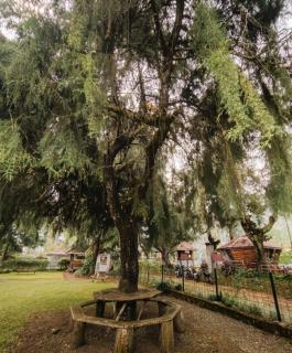Bliss Farm - 9