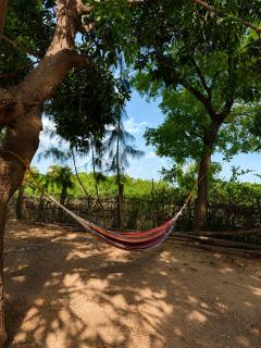 Avora Auroville - 1