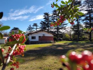 Pinos del Virrey I - 2