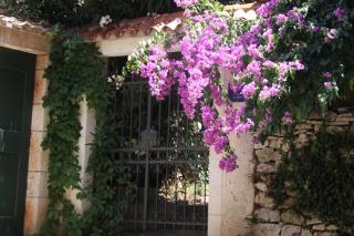 Villa Rustika - Sutivan (San Giovanni di Brazza) - 1