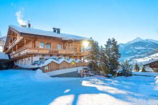 Aparthaus Sonnenhof - Alpbach - 1