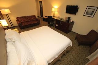 Holiday Inn Leon by IHG - León - 5