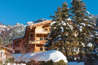 Aparthaus Sonnenhof - Alpbach - 3