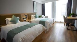 Green Tree Inn Hebei Handan Guantao County Weizheng Road - 3