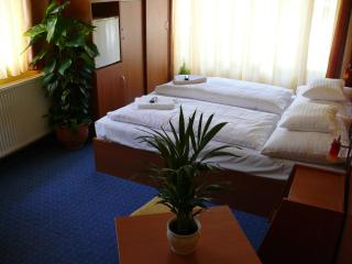 Hotel Mayer Alsóörs - Alsóörs - 6