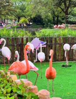 Atour X Hotel Shanghai International Tourism and Resort Safari Park - 4