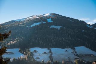 Aparthaus Sonnenhof - Alpbach - 4