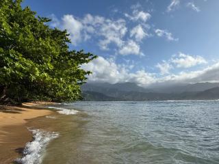 NEW Sunset Hideaway with Beach Access Pools & AC - 4