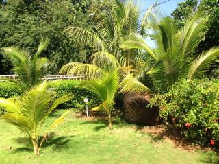 Sunhill Villa - 5