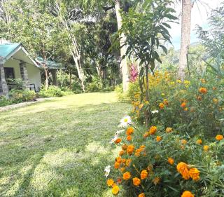 Koshi's Country Cottage Ella - 0