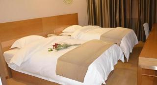 GreenTree Inn Anqing Wangjiang County Lantian Road Yiheyuan Express Hotel - 2
