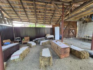The Nest Room - 2
