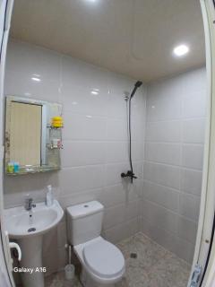 Guesthouse Pirosmani street 26 - Borjomi - 5