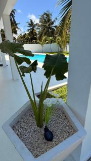 Ngemi House Deluxe Apartments Watamu - 0