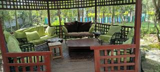 Evergreen plain farms and Eco lodge - 4