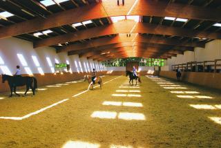 Hof Springhorn - 2