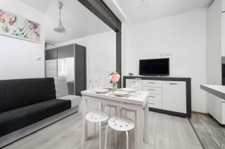 Lilac Studio with Bathtub in Wrocław Close to the Park by Noclegi Renters - 9