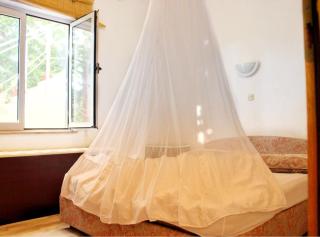 Villa Maslina-Olive - 7