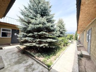 BekDan - 8