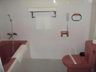 Huu Nghi Hotel - 1