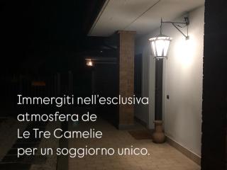 Le Tre Camelie - 8