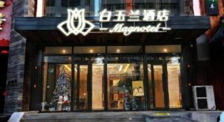 Magnotel Shenyang Consulate Qingnian Street - 6