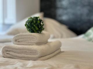 RESTAY 北24条 2bedroom - 3