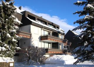 Welcome in - Apartments Am Waltenberg 57-59 - Winterberg - 0