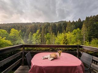 L'Écrin Chalet in Portes du Soleil - 1