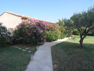 Chambres d'hôtes Villa Alizé - Grimaud - 0