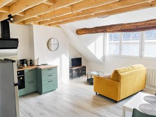 Duplex de charme au coeur de Beaugency - Beaugency - 0