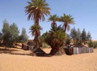 Oasis Experience camp - 5