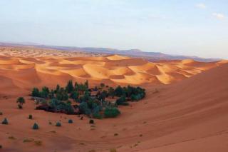 Oasis Experience camp - 3