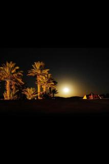 Oasis Experience camp - 1