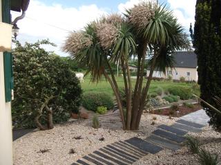 Le Logis Des Grenouilles B&B - 5