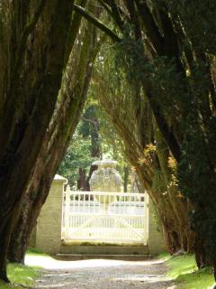 Tregrehan Garden Cottages, the Mews - 3