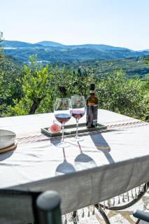 Casa Tramonto, Panoramic Terrace near Florence - 9