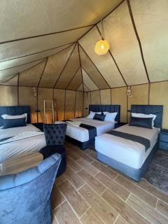 Incredible Luxury Desert Camp - 6