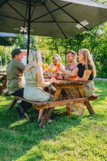 Burgzimmer 6 nähe Sinsheim - ruhiger Platz im Grünen - 6